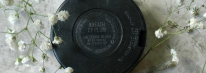 Mac: румяна, тени и кисти