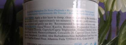 Kiehl's Rare Earth Deep Pore Cleansing Masque и Ultra-Facial Oil Free Lotion