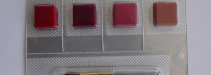 Estee Lauder Pure Color Envy Shine Sculpting Shine Lipstick Spring 2015 #Discreet, Suggestive, Passionate, Empowered