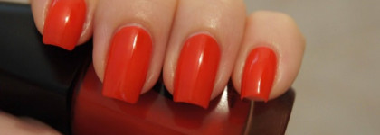 Прекрасный(но красный ли?) представитель Chatte Noire