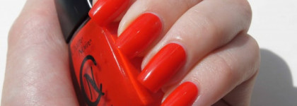 Прекрасный(но красный ли?) представитель Chatte Noire