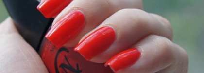 Прекрасный(но красный ли?) представитель Chatte Noire