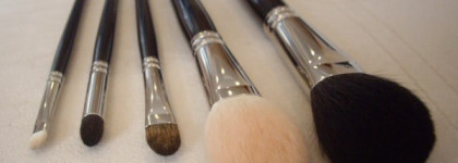 Makeup Brushes. Hakuhodo (||)