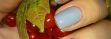 Мой нежный серо-голубой Pupa #278