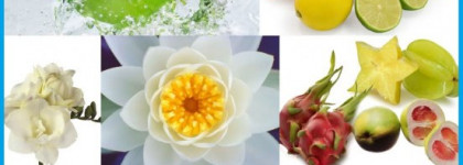 Времена года. Часть II - Лето -  Cool Water Game by Davidoff for Women