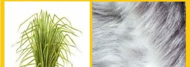 Разбор Молекул . Escentric 02 Escentric Molecules