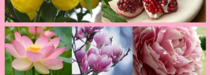 Времена года. Часть IV - Зима - Bright Crystal Versace