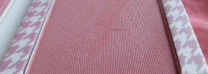 Instain Long -Wearing Staining Powder Blush The Balm оттенок Houndstooth