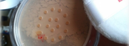 Рupa silk touch loose powder 03: моя прррэлесть