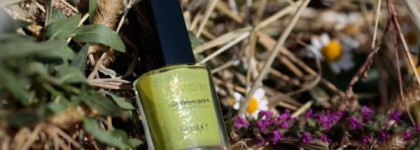 Божественный лайм Avon Nailwear pro+