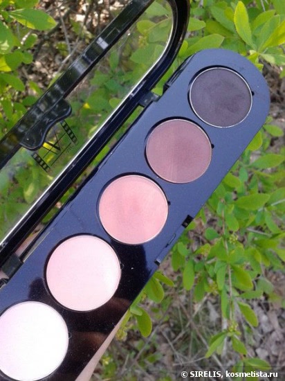 Мое розовое дерево Make-Up Atelier Paris Eyeshadow Palette T19 Bois De Rose