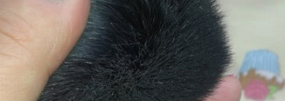 3 кисти помощницы от theBalm