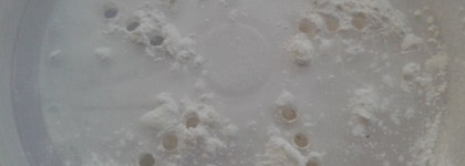 Матирование на весь день с рисовой пудрой Paese