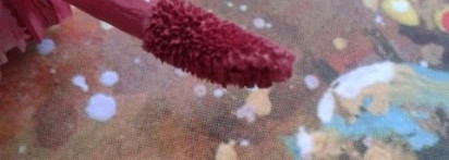 Моя любимая зимняя помада Seventeen All Day Lip Color № 05 Habiscus