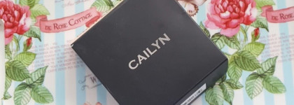 Cailyn BB Fluid Touch Compact Компактный Вв-Крем- Porcelain 01