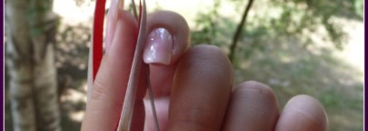 Нежная утренняя роза Golden Rose и Sally Hansen