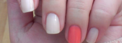 Нежный дуэт Flormar & Golden Rose