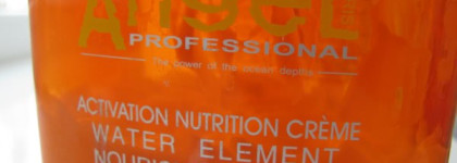 Надежна на все 100%. Angel Professional Water Element Ice Sea Mud Nursing Cream Крем-маска для волос