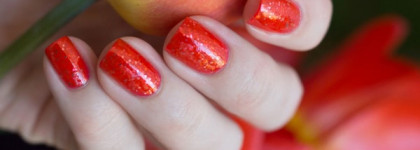 Anna Gorelova by Dance Legend - Жар-птица