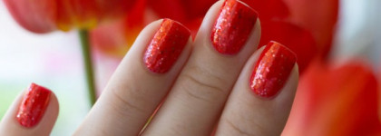 Anna Gorelova by Dance Legend - Жар-птица