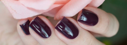 Cirque - La Vie Boheme