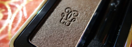 Fall 2013 Voilette de Madame. Guerlain L’Ecrin 2 Couleurs Eyeshadow № 08, Two Spicy