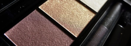 Shiseido Luminizing Satin Eye Color Trio RD 299 Beach Grass