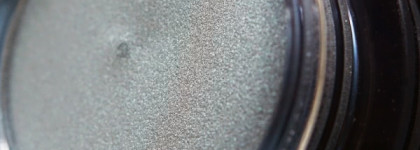 Shiseido Shimmering Cream Eye Color SV810,Tin