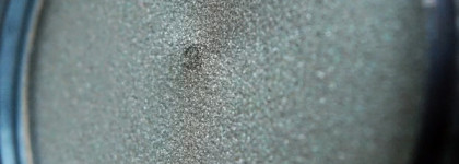 Shiseido Shimmering Cream Eye Color SV810,Tin