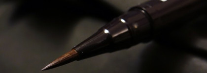 Shiseido Automatic Fine Eyeliner BR602, brown