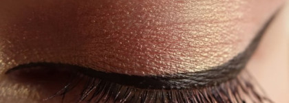 Shiseido Automatic Fine Eyeliner BR602, brown