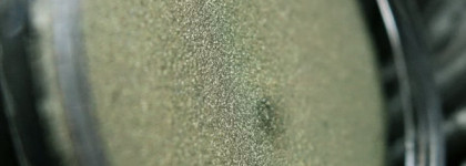 Shiseido Shimmering Cream Eye Color GR707, Patina