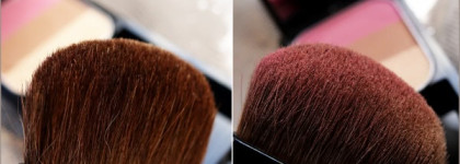 Shiseido Face Color Enhancing Trio RS1 Plum