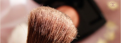 Plumes Precieuses de Chanel 2014. Chanel Joues Contraste Powder Blush №180, Caresse