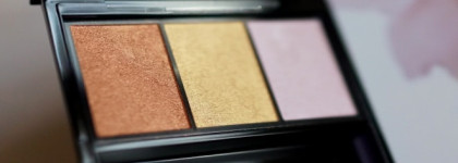 Особый подход. Особое настроение. Shiseido Luminizing Satin Eye Color Trio BR 214 Into the Woods