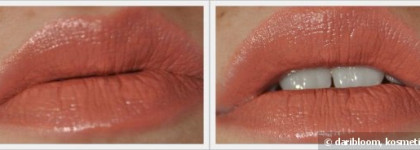 Губная помада Max Factor Colour Elixir Lipstick Maroon Dust 735