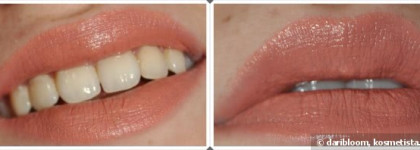 Губная помада Max Factor Colour Elixir Lipstick Maroon Dust 735