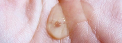 Гель для душа Вербена Verbena Shower Gel L'occitane