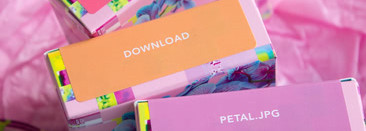 Lime Crime Softwear Blush in Hyperlink, Petal.jpg, Download