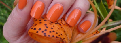 Оранжевое настроение с Golden Rose Rich Color № 37