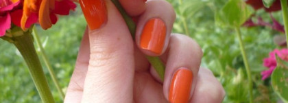 Оранжевое настроение с Golden Rose Rich Color № 37