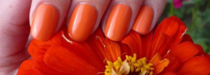 Оранжевое настроение с Golden Rose Rich Color № 37