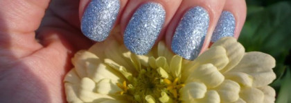 Морозный иней в июле - Golden Rose Holiday № 55