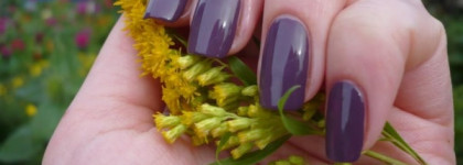 А любите ли вы сливы? - Да, сэр! Лак Rimmel 60 Seconds № 625 Sir, Yes Sir