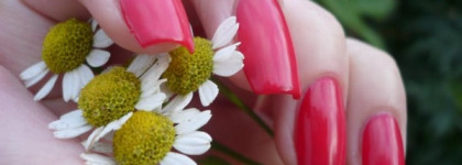 Цветочно-ягодное настроение с Golden Rose Rich Color № 13