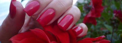 Цветочно-ягодное настроение с Golden Rose Rich Color № 13