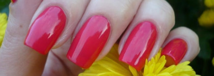 Цветочно-ягодное настроение с Golden Rose Rich Color № 13