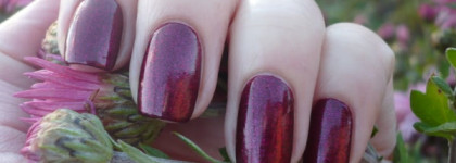 Осенний танец с Dance Legend Red Show № 07