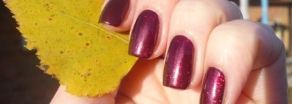 Осенний танец с Dance Legend Red Show № 07