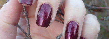 Осенний танец с Dance Legend Red Show № 07